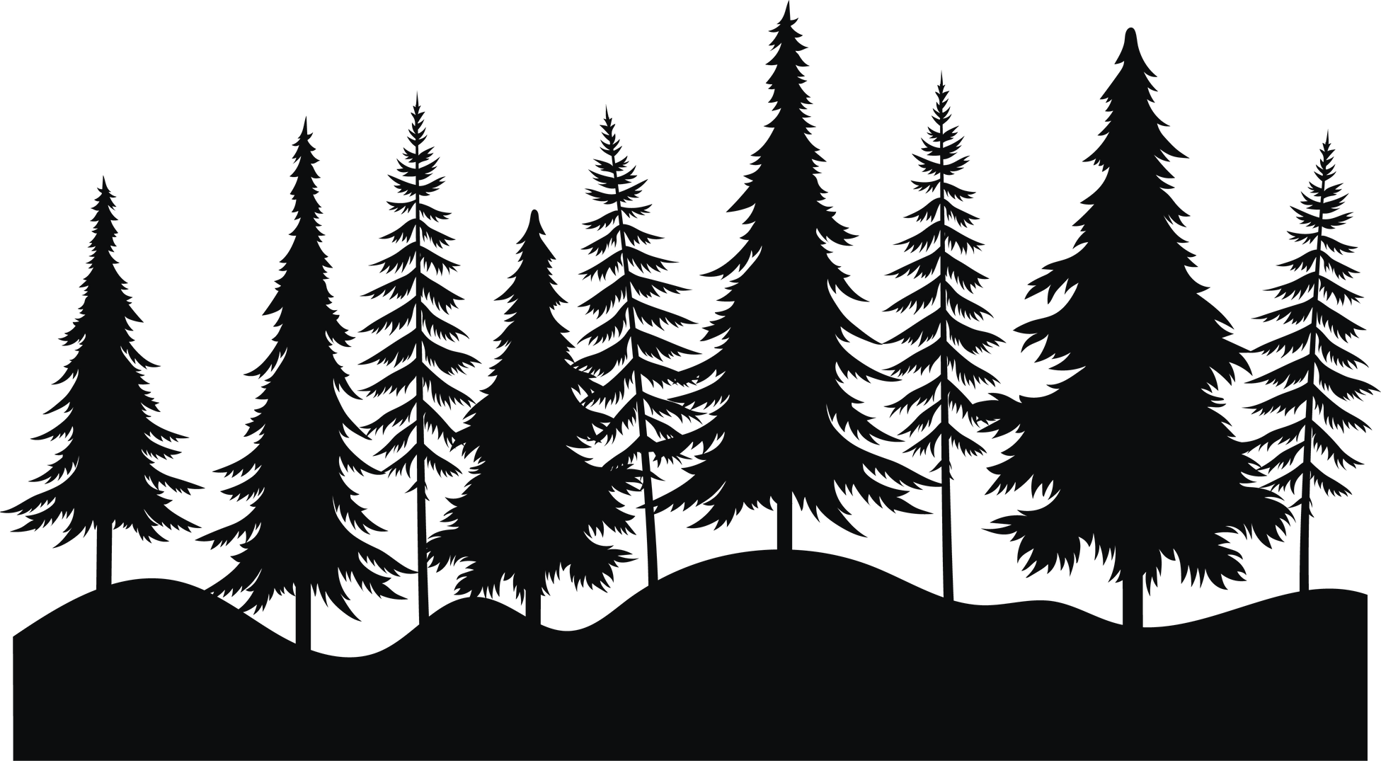 Pine forest.Silhouette of tree forest. Logotype.