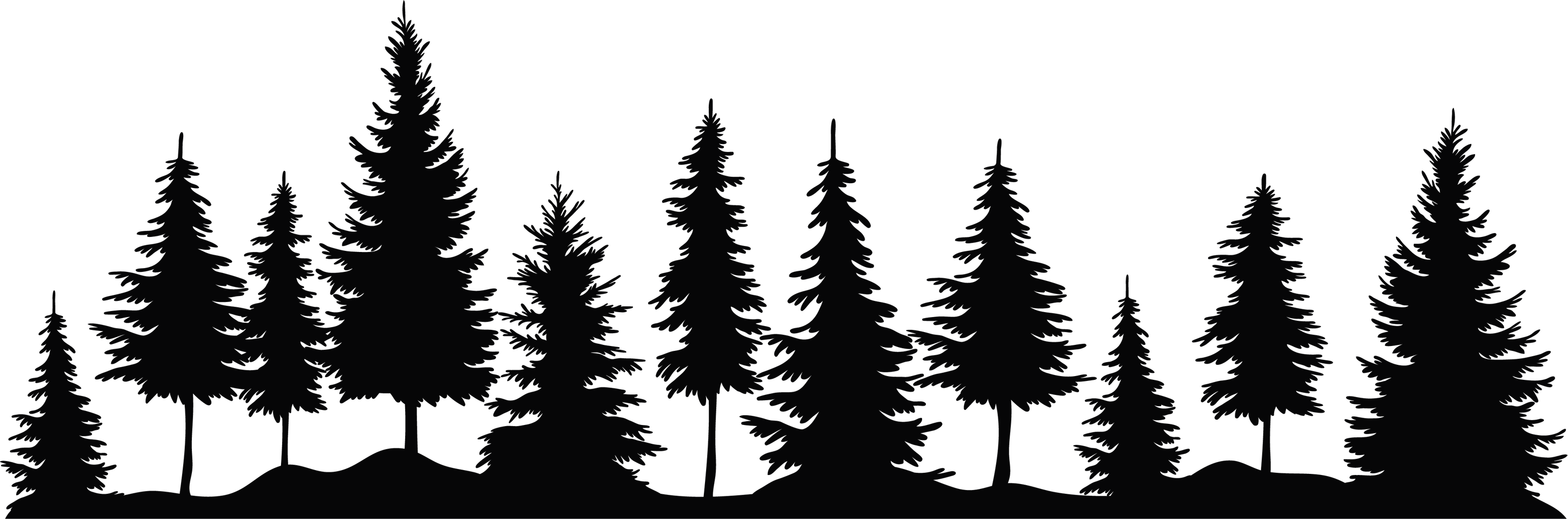 Pine forest. Logotype.